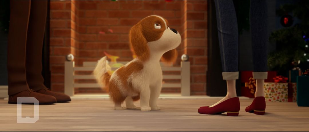 2019 Coral Christmas