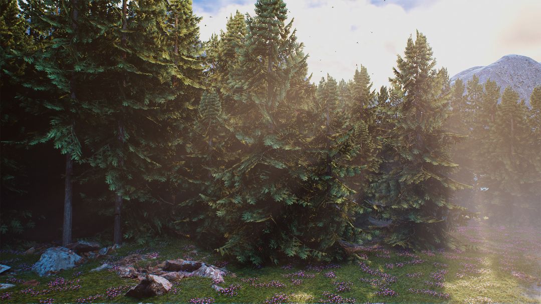 Lighting Sutdy with Lumen