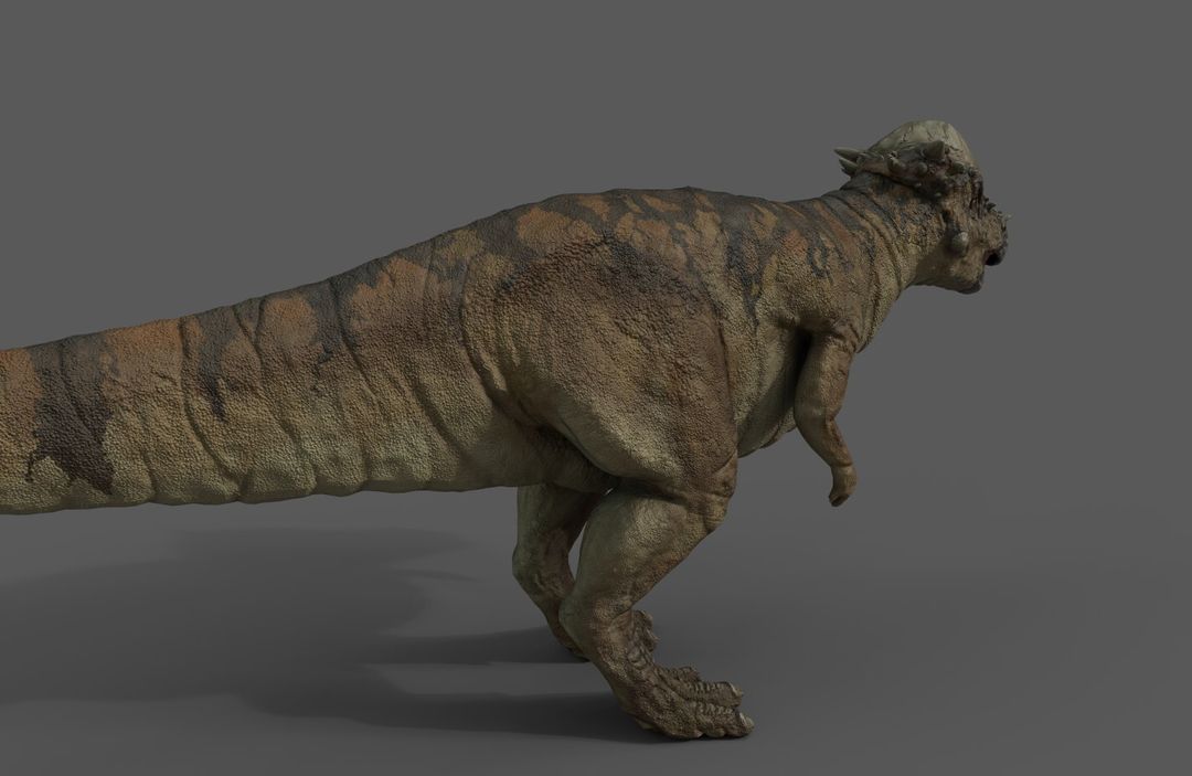 Pachycephalosaurus
