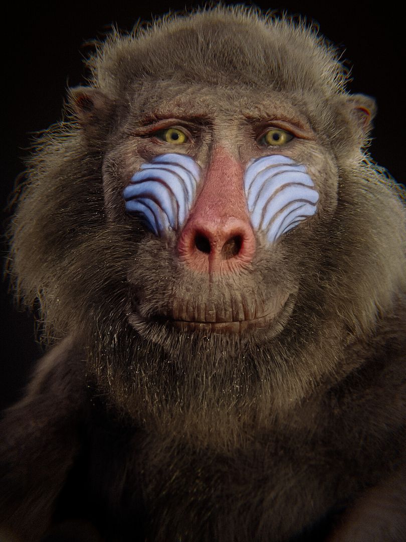 Mandril | 3D Creature Modelling