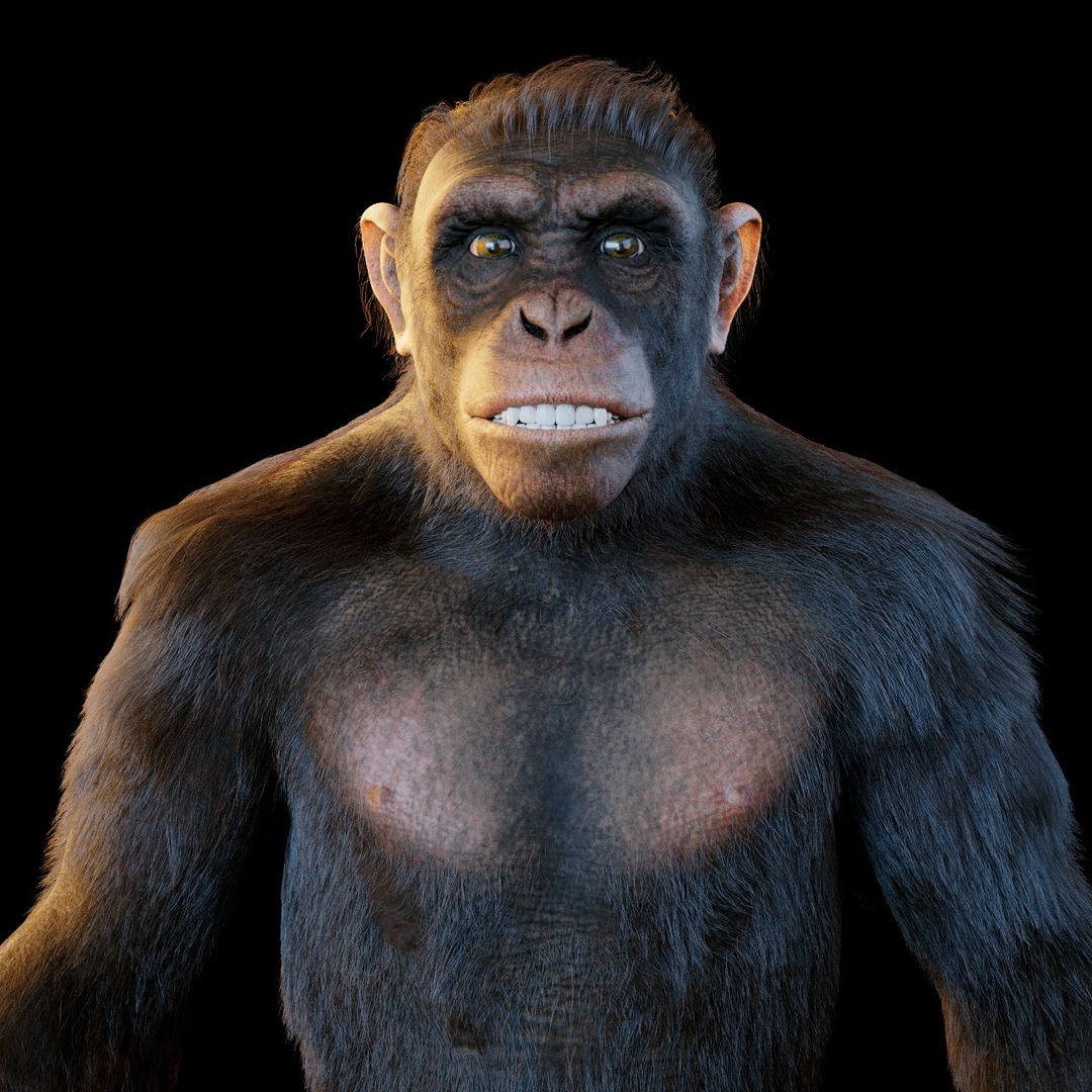 Ape