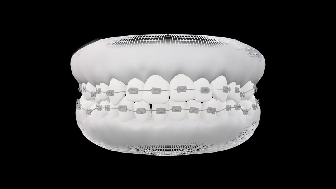Teeth