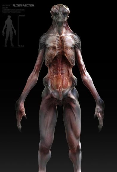 3D ALIEN CONCEPT