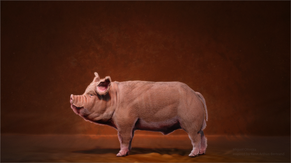 THE PIG | 3D Creature Modelling