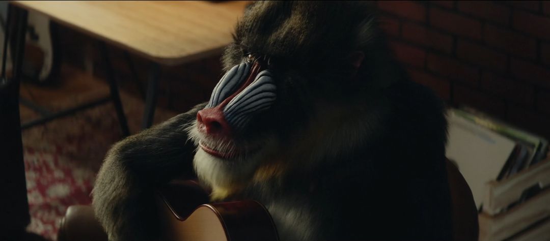 Monkey face and body rig