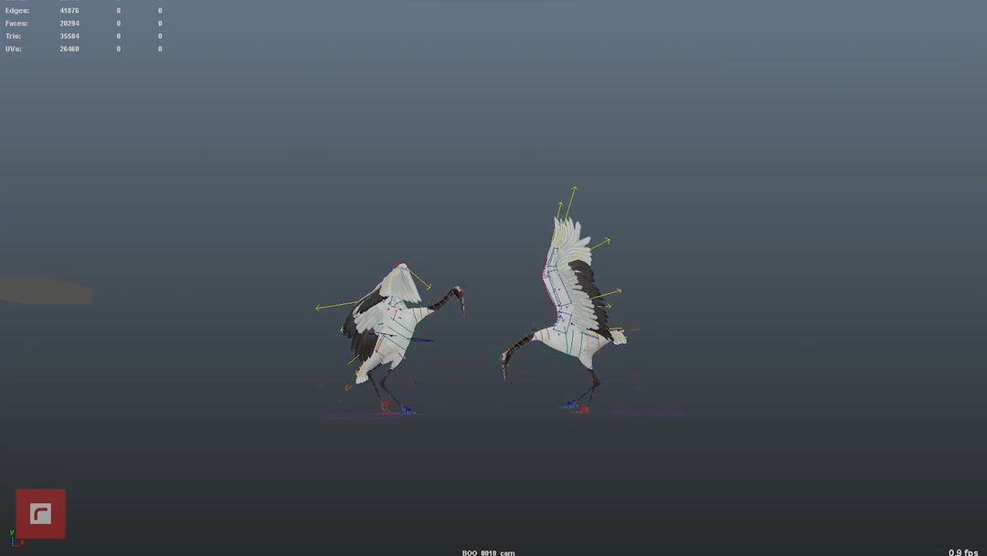 cranes rig and simulation