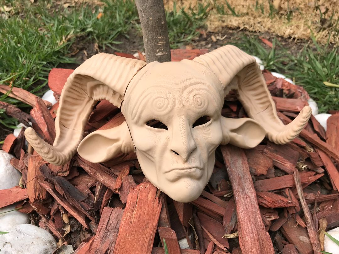 Pans Mask