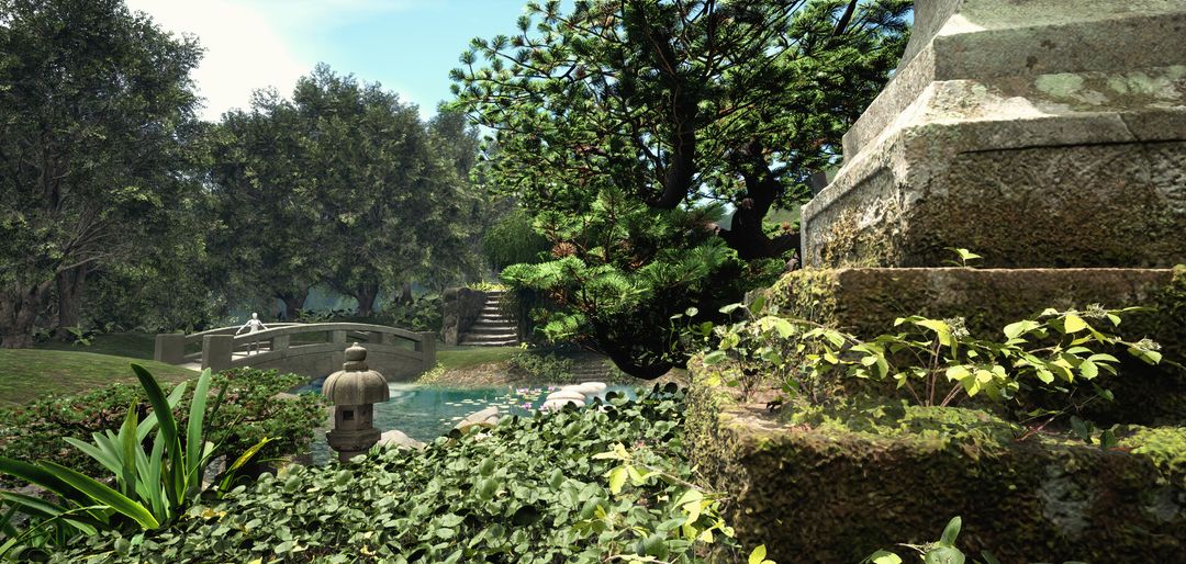 Japanese Garden. Lake