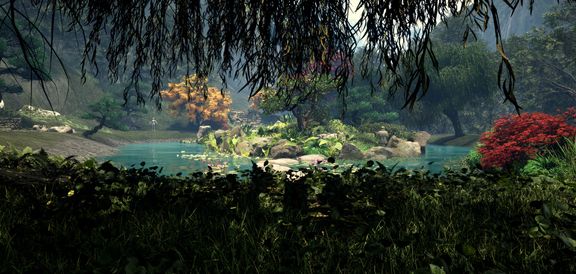 Weeping Willows over the Lake in Japanese Garden