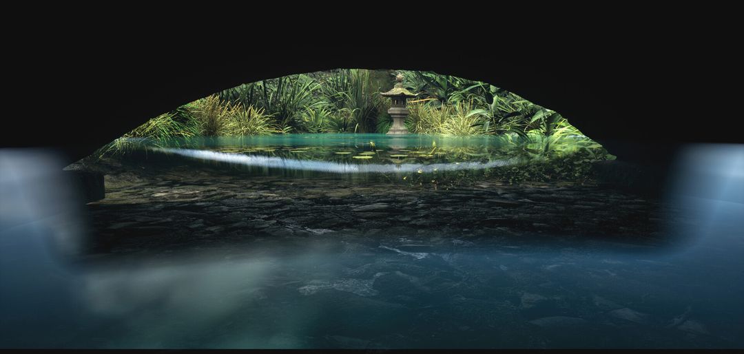 Ponds and Lush Plants in Japanese Garden