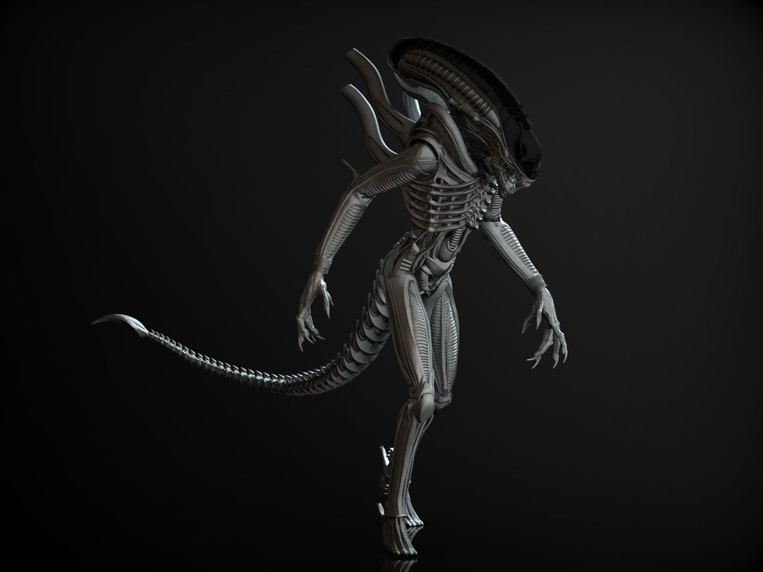 Xenomorph