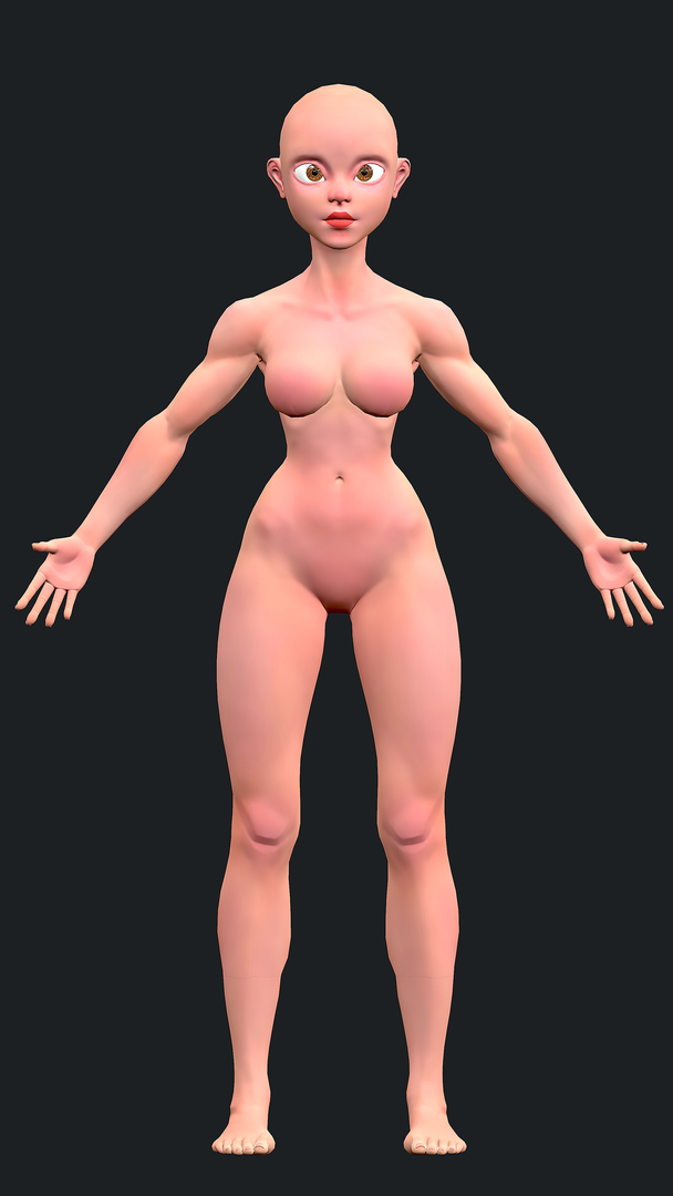 Female anatomy - Stylized