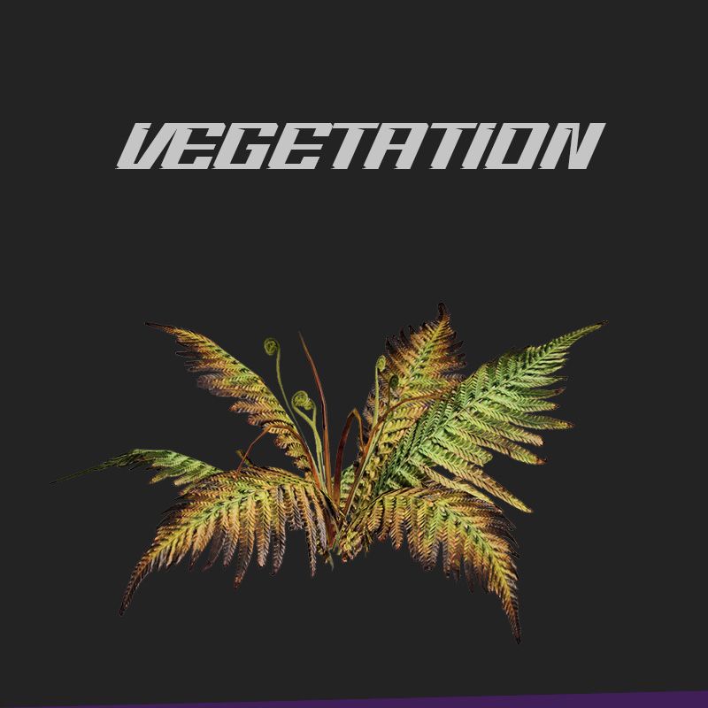 Vegetation