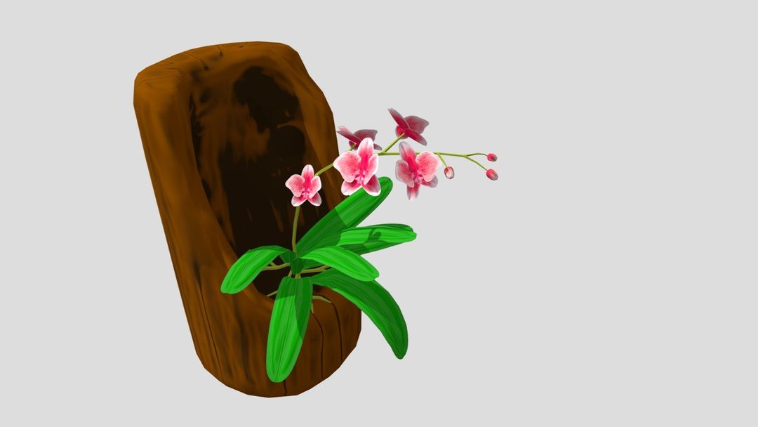 Orquídea 3D