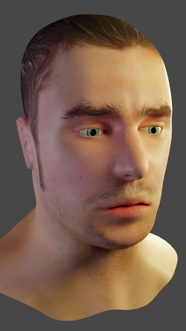 Human Bust