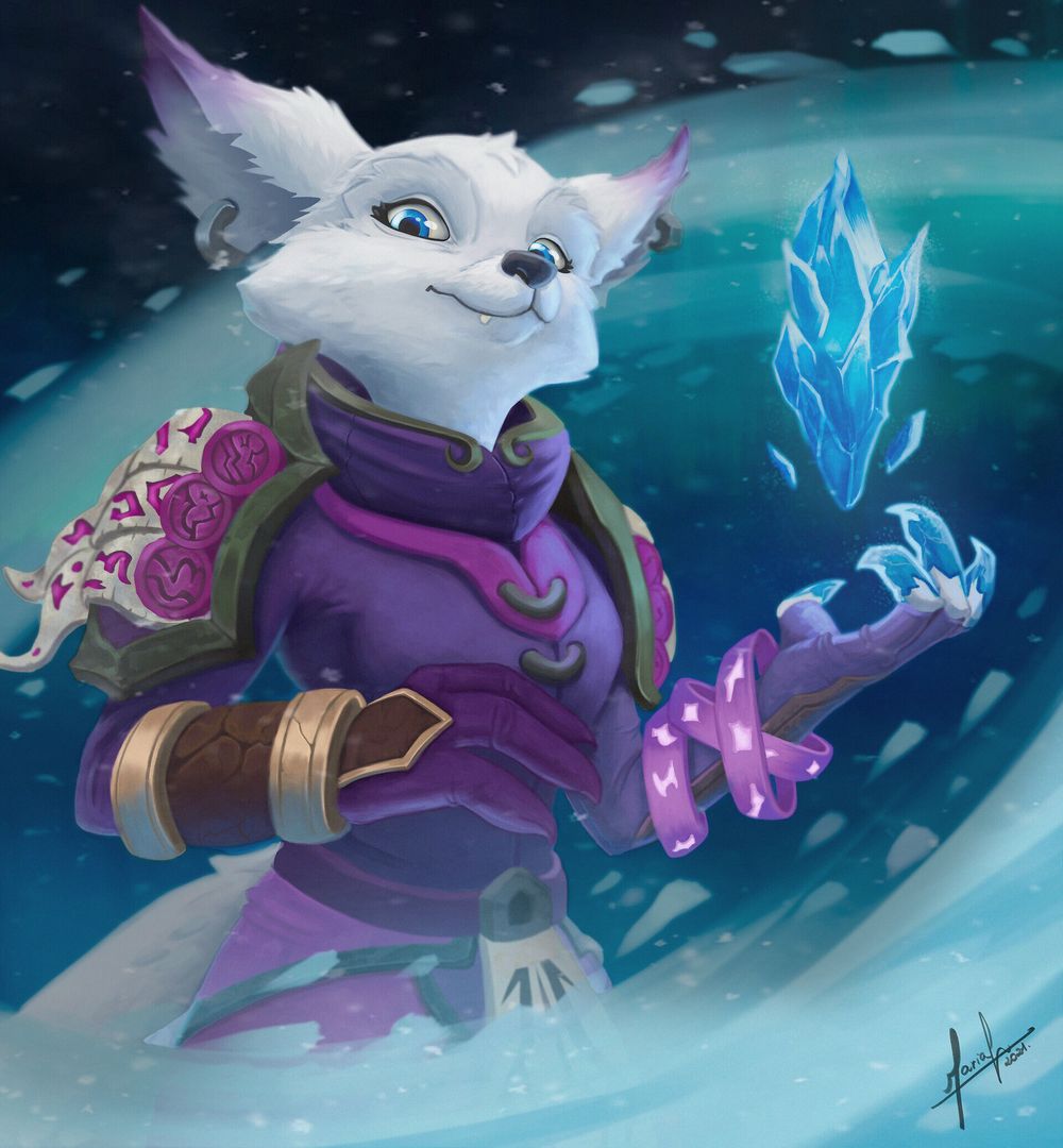 Frost Mage