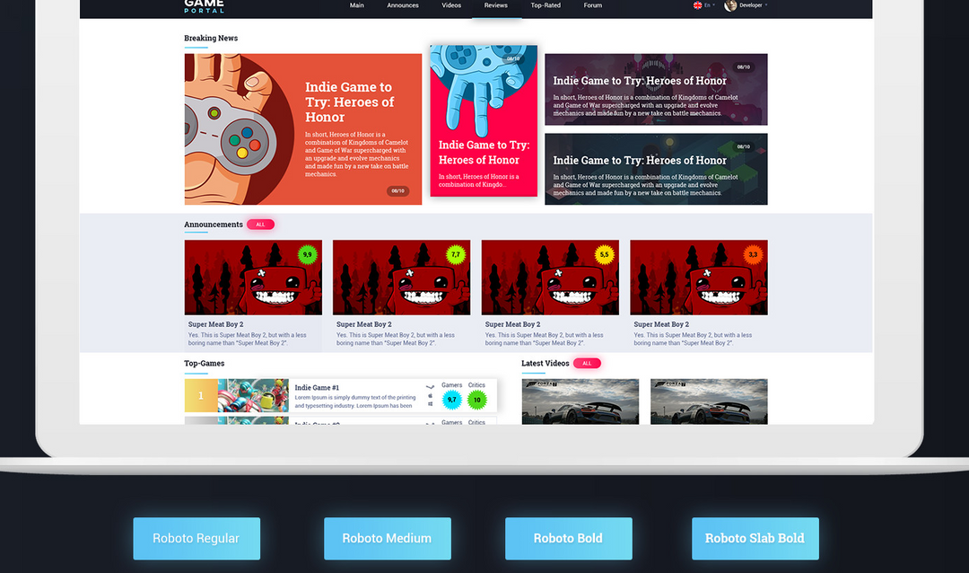 Developers and Reviewers portal