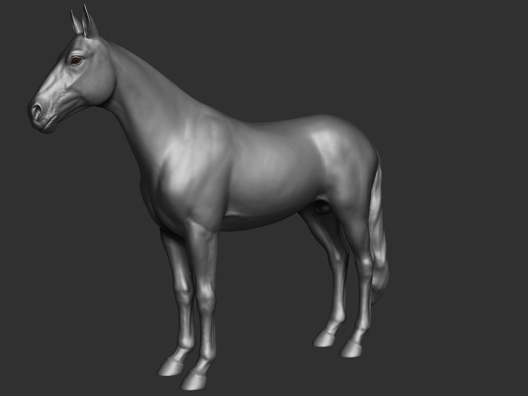 Horse Hi poly sculpt