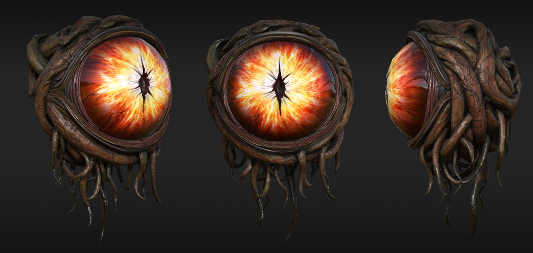 Eye
