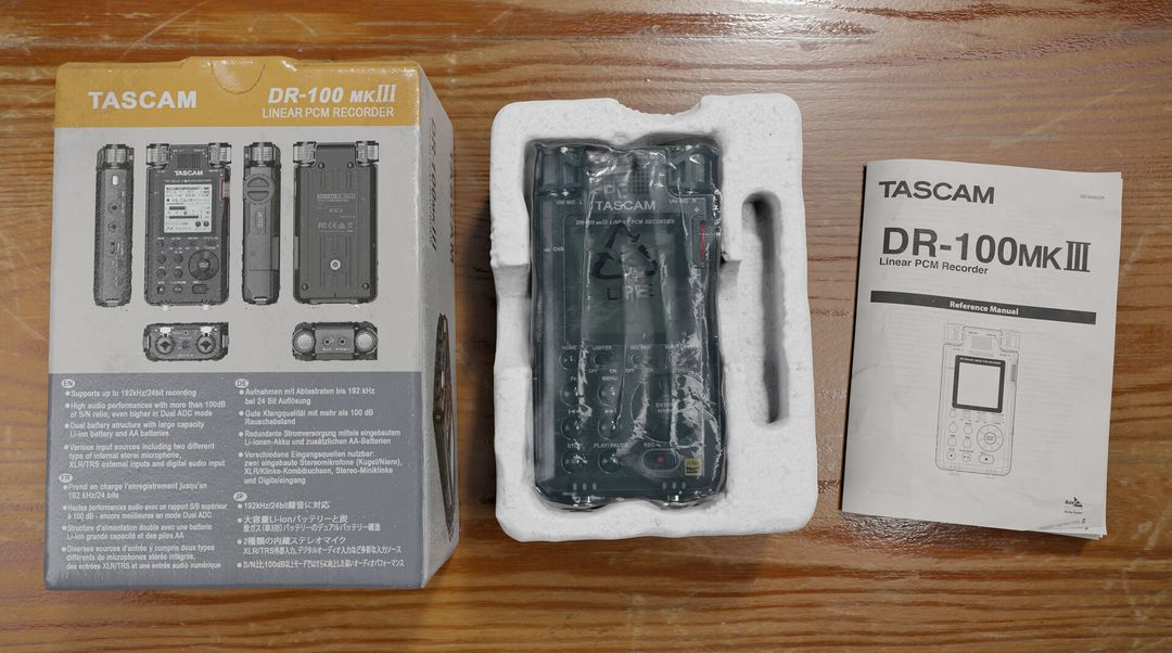 TASCAM DR-100 MK III (real-time)