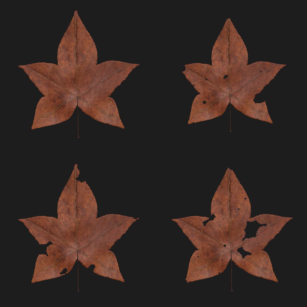 Procedural Leaves by Alex S.