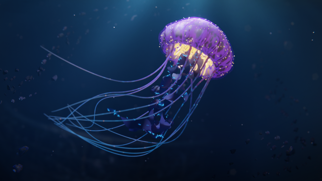 Jellyfish