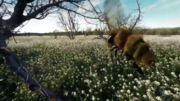 2021 - Work update Showreel