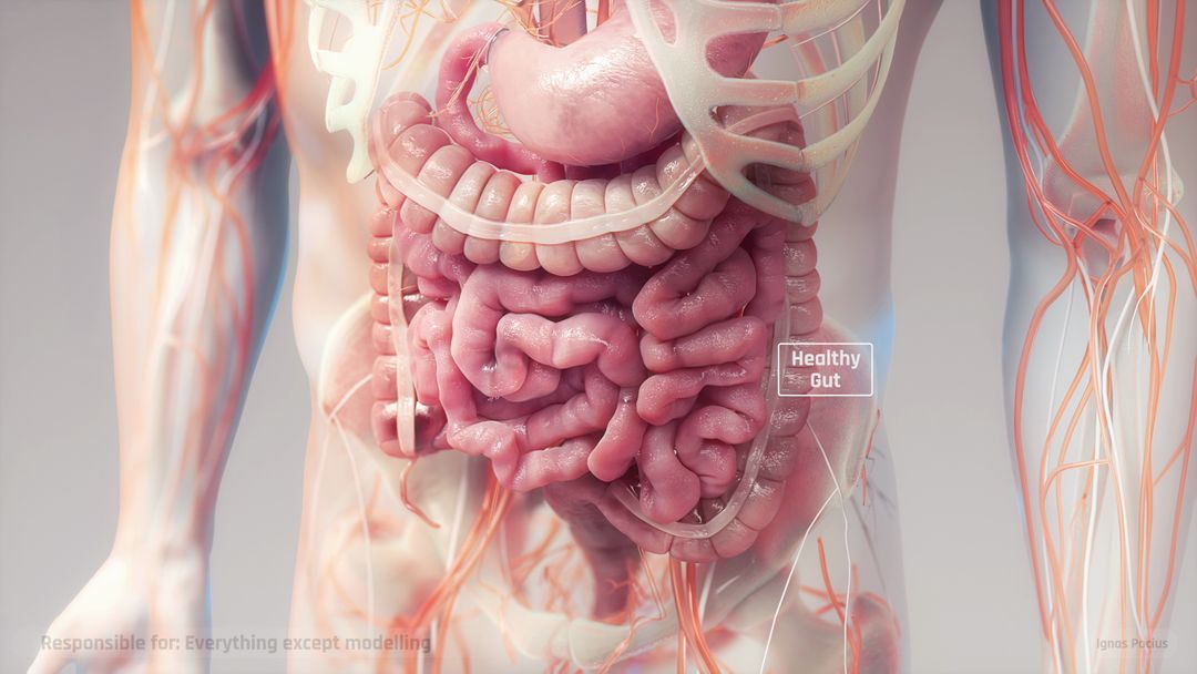Intestinal Discomfort
