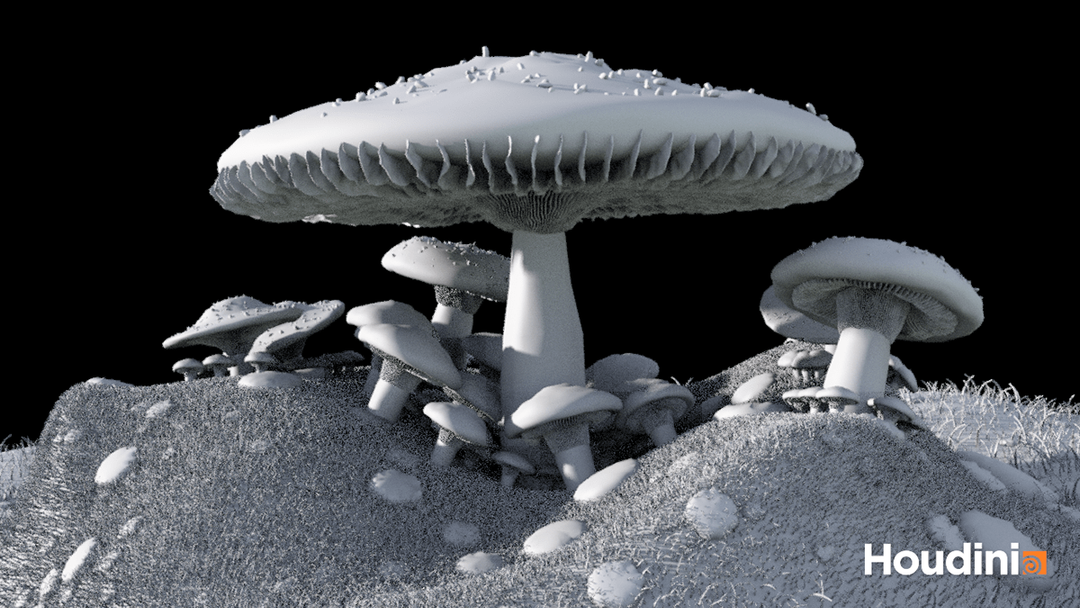 Mushroom | HDA & Scatter (Houdini - Study technique) by Roberto V.