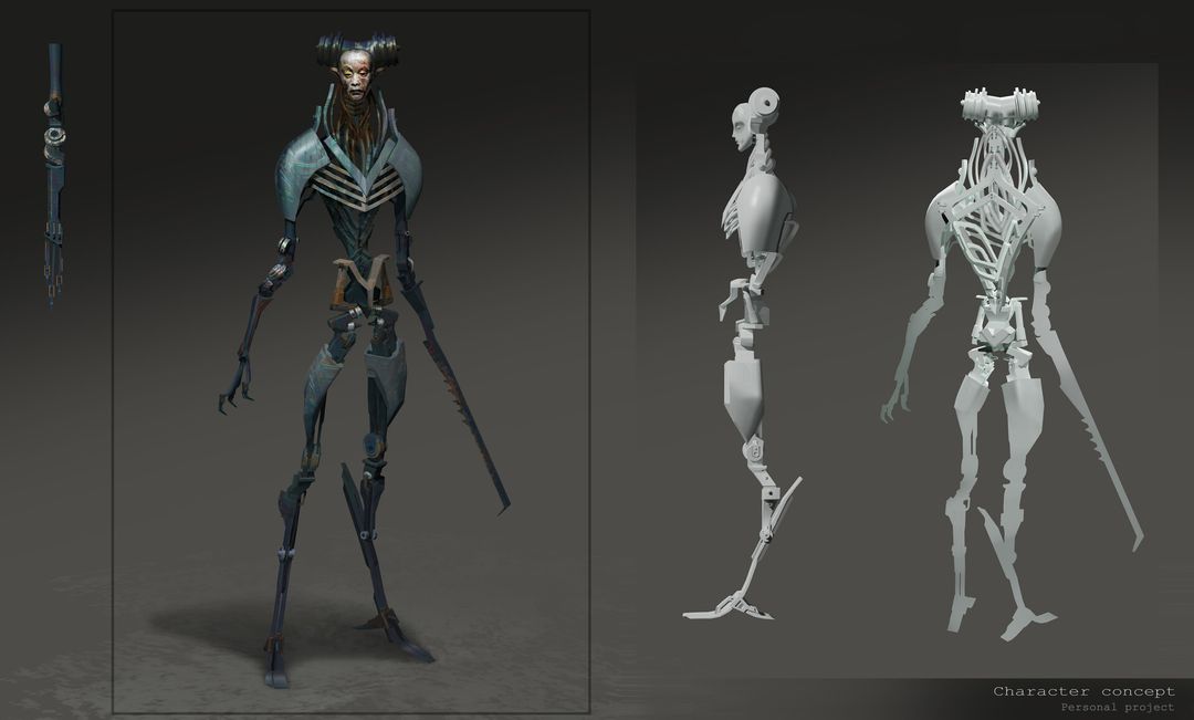 Cyber warrior