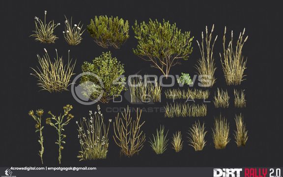 Foliage, grass, annd shrub for Dirt Rally 2.0