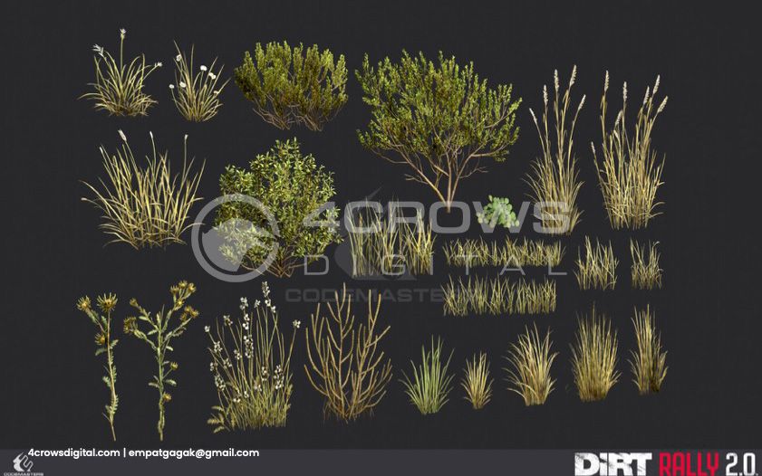 Foliage, grass, annd shrub for Dirt Rally 2.0 by 4 Crows Digital