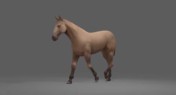 Horse Animation