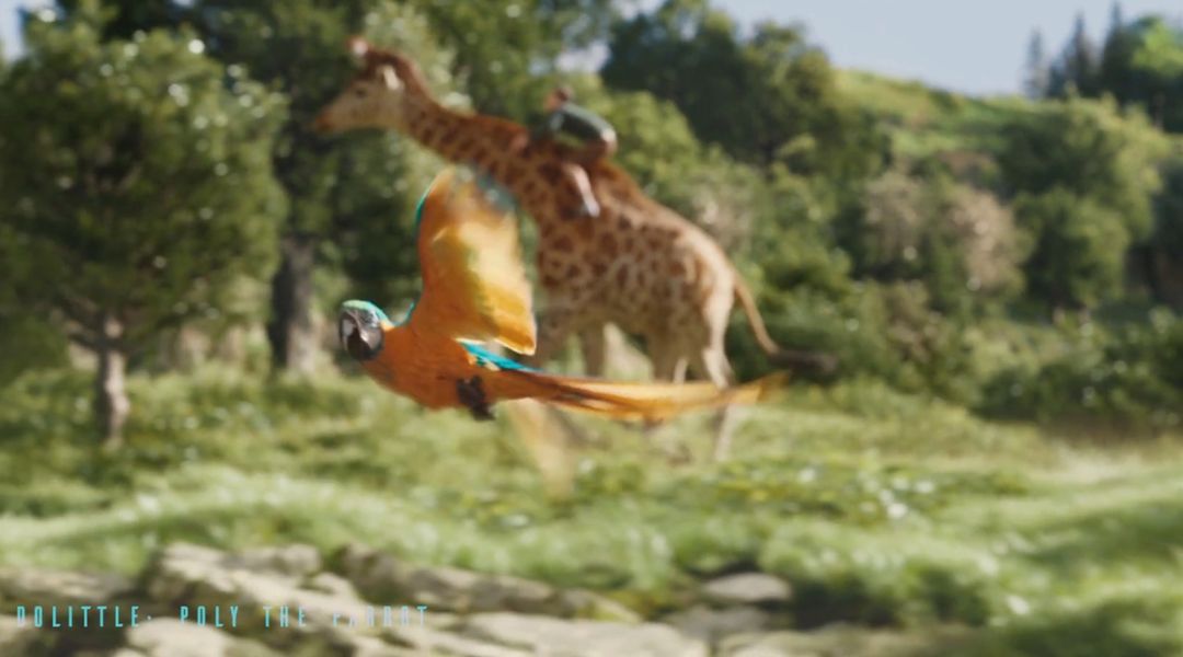 Myriam Rigonnaud - Animation Reel 2020