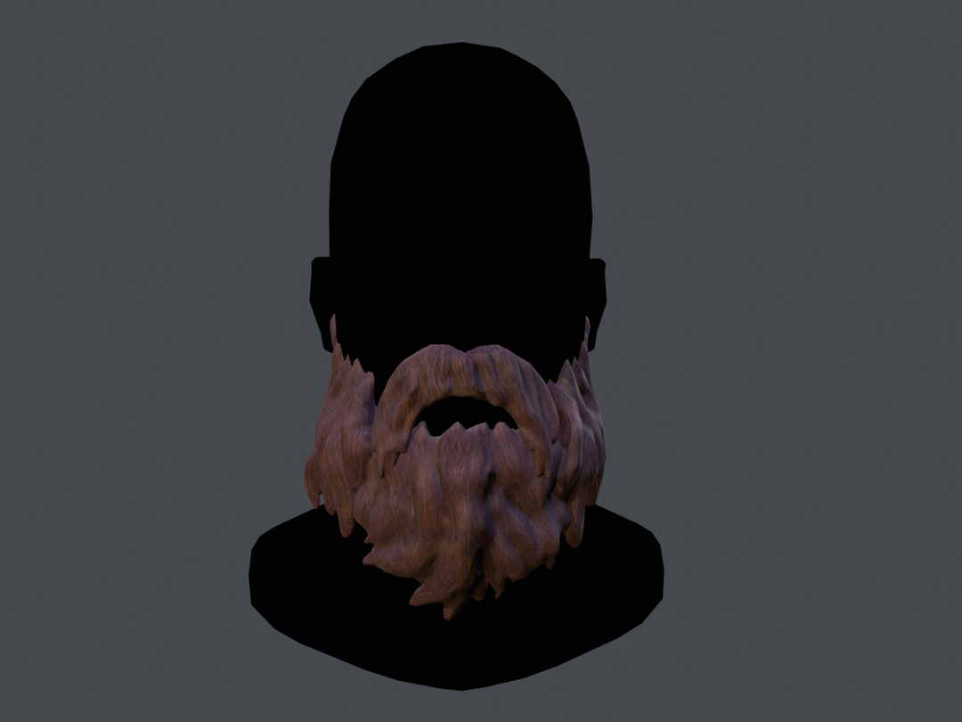 Moustache and Beard