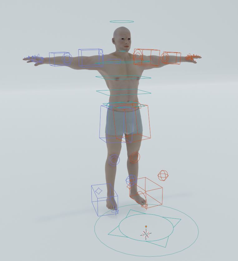 Male Anatomy Rig