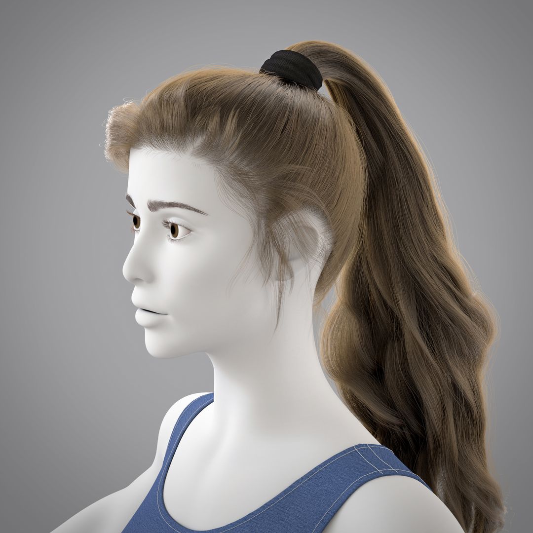Long ponytail - 3d haircut