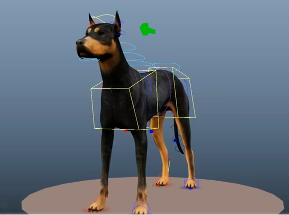 Auleek Rigging Showcase