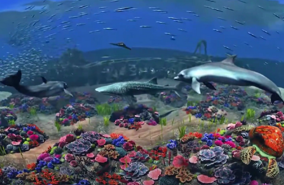 BluVR Experience - 2018