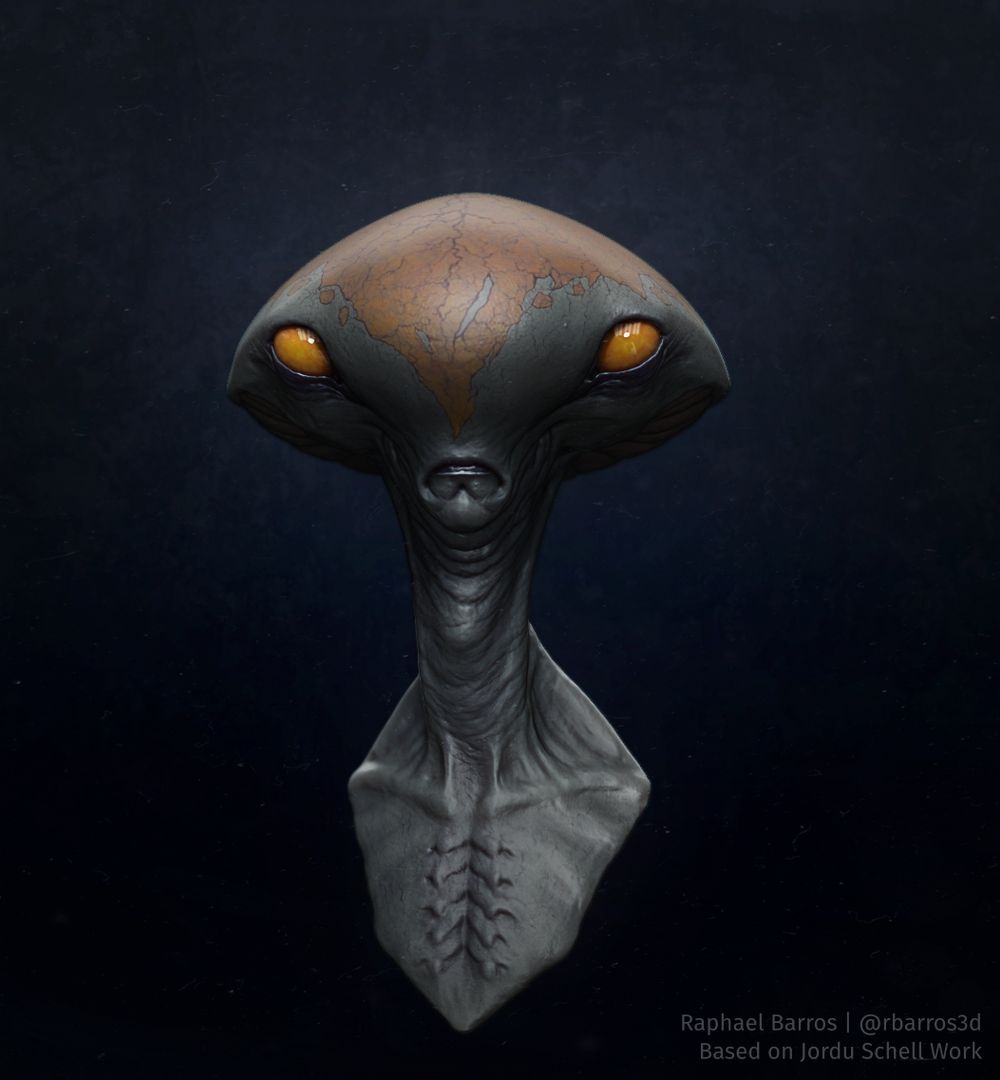 Jordu Schell Master Study