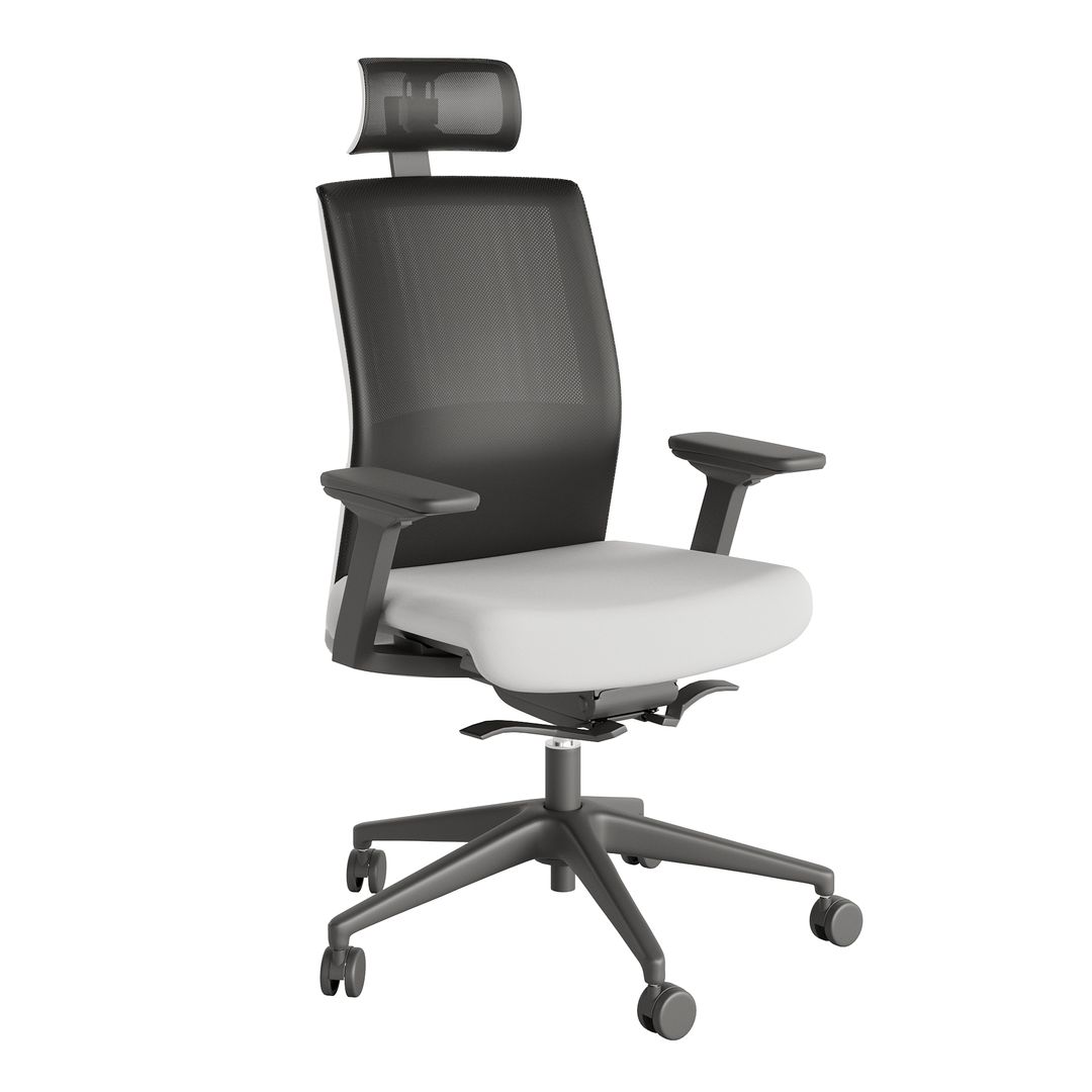 Ergonomic office chair