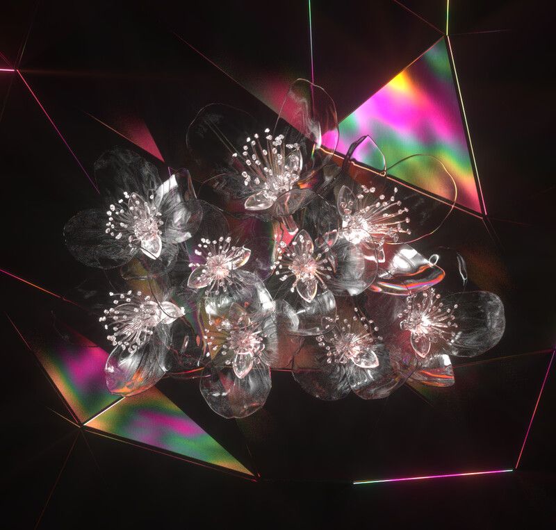 Flowers for Christmas