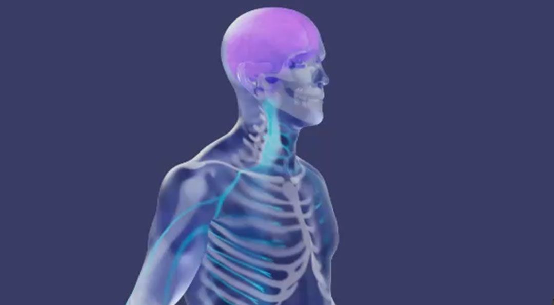 Translucent Man (Studio Work)