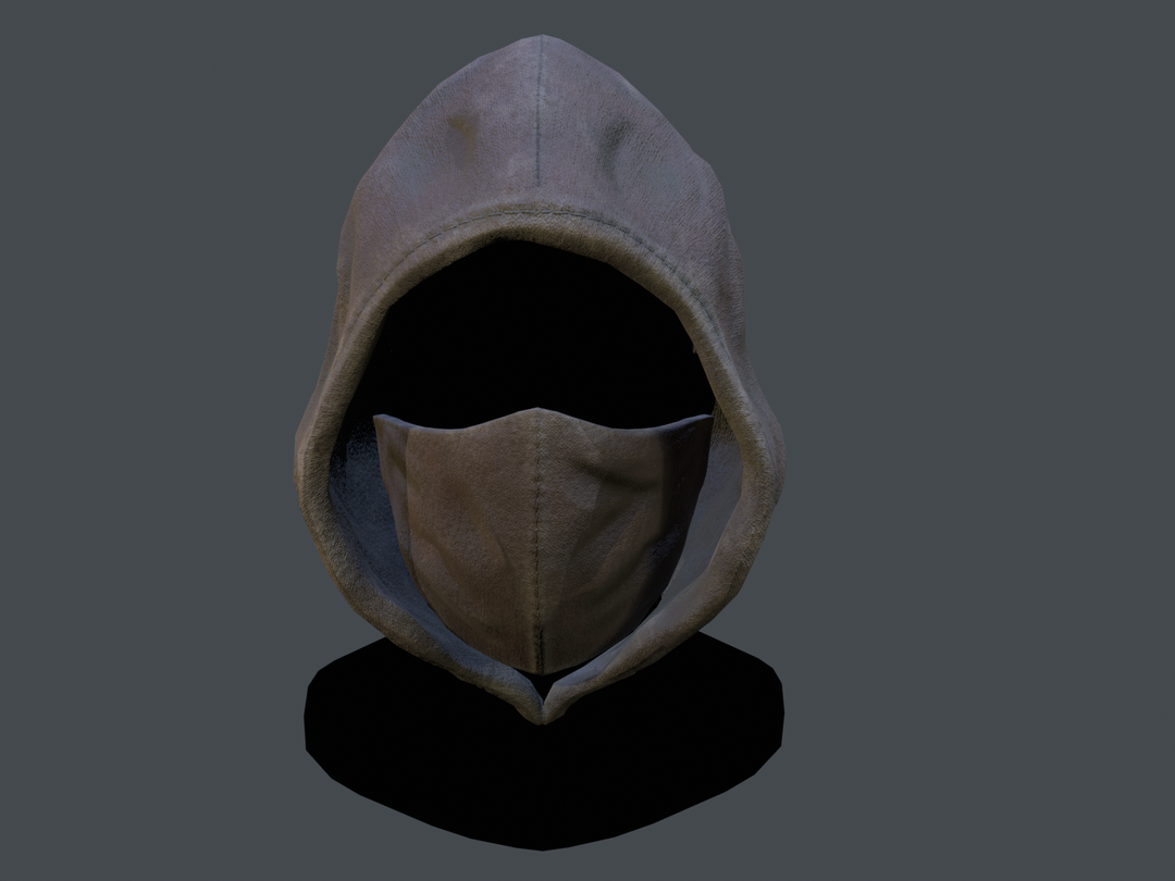 Assasins Hood