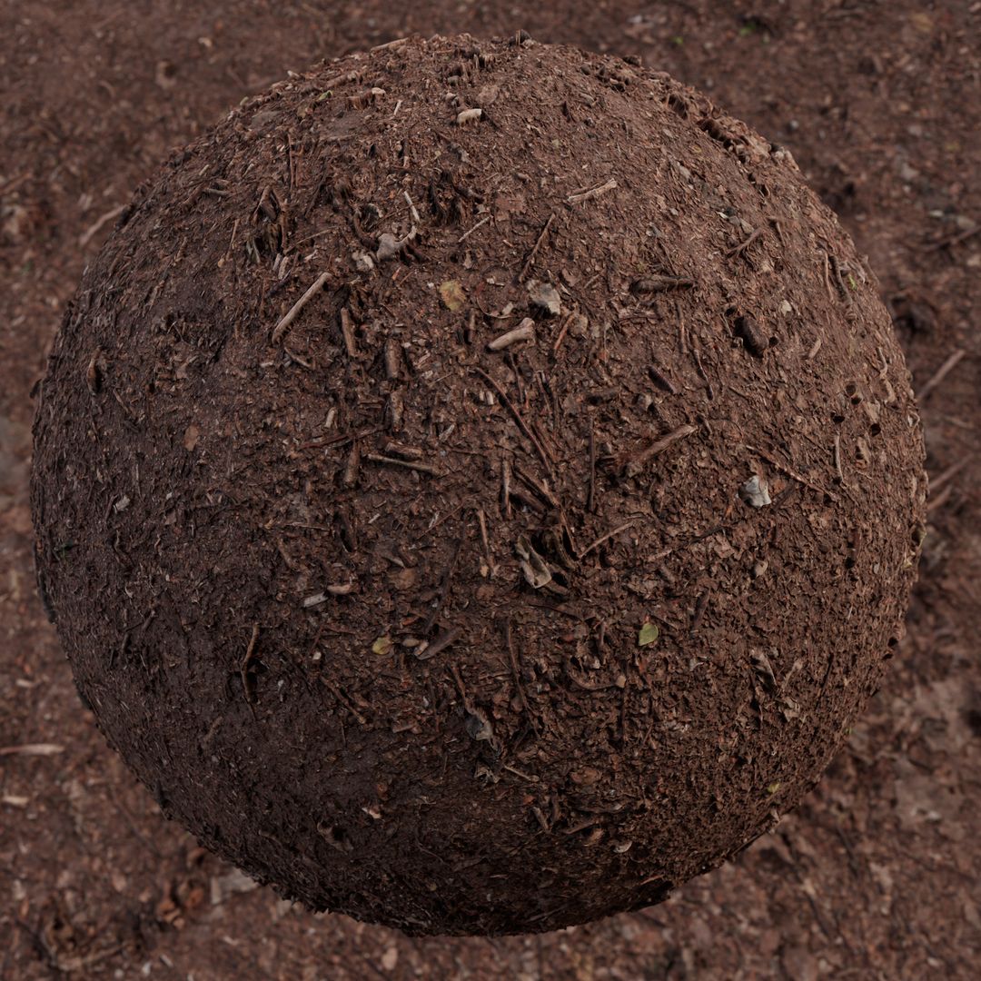 [Tileable Scan] Forest Floor