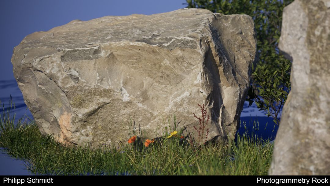 [Processed Scan] Rock