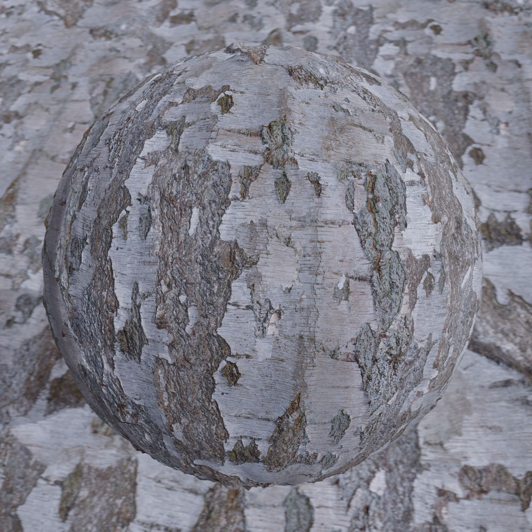 [Tileable Scan] Birch Bark