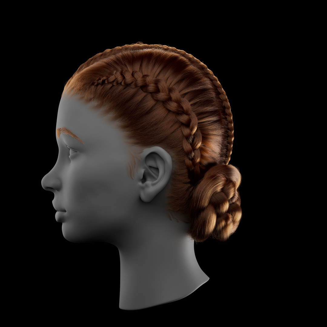 Braid HairStyle by Danieli S.