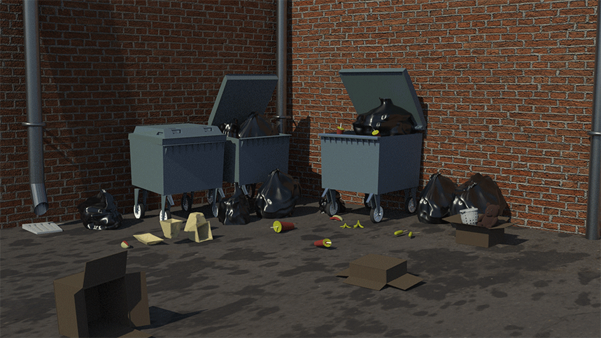 Bin Environment