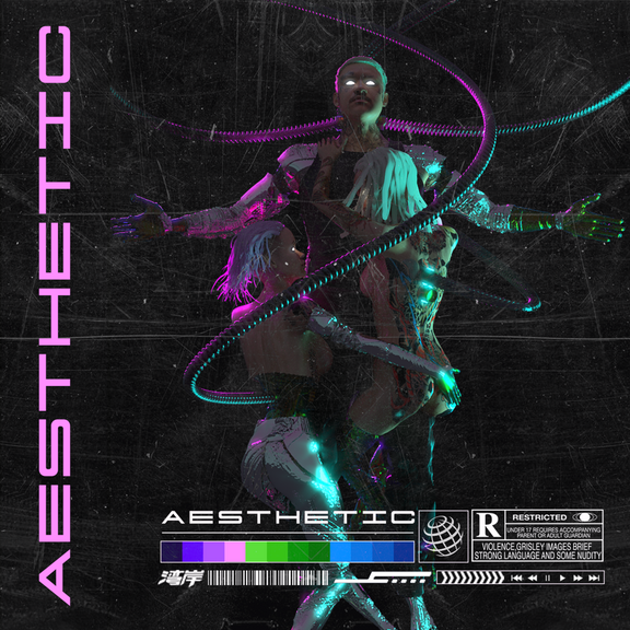 AESTHETIC Music Visualizer